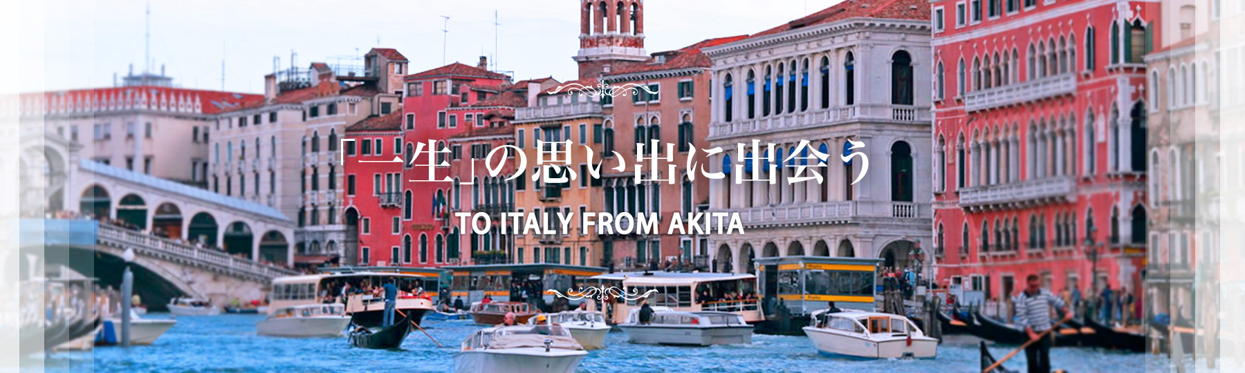 最高の料理をあなたに